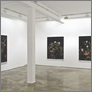 [thumbnail of Sarah Jones, exhibition installation view II (2008)]