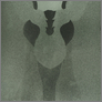[thumbnail of Kate Davis 'lull HOLE What' (2008)]