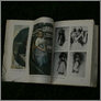 [thumbnail of Locating Sylvia Pankhurst]