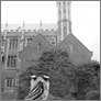 [thumbnail of Nicky Coutts 'Mimics 1' image 3 (2016)]