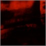 [thumbnail of Jordan Baseman 'Veil' (2016)]