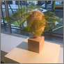 [thumbnail of Vine Party Hat]
