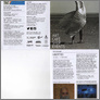 [thumbnail of Gallery programme for Liberties]