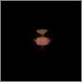 [thumbnail of Aura Satz 'In and Out of Synch' image 1 (2013)]