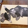 [thumbnail of Denise de Cordova 'Garage Editions Print Residency' image 5(2015)]