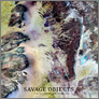 [thumbnail of Godofredo Pereira 'Savage Objects' (2012)]