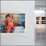 [thumbnail of Gender Generation exhibition, image 4 (2016)]