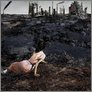 [thumbnail of Peter Kennard 'A Song of Oil, Ice and Fire' (2015)]