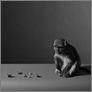 [thumbnail of Monkey and Nuts]