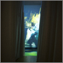 [thumbnail of EXHIBITION_image_002]