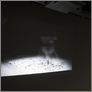 [thumbnail of EXHIBTION]
