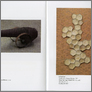 [thumbnail of Arte Povera]
