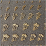 [thumbnail of Weeds_Brooches_2]