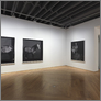 [thumbnail of Install view solo show, image 4]