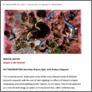 [thumbnail of Melanie Jackson: In conversation]