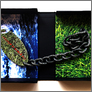 [thumbnail of Grass is Always Greener]