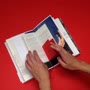 [thumbnail of On Innards documentation video]