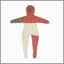 [thumbnail of The Perfect: Tilak, 2007]