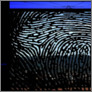 [thumbnail of In the wake of emergence]