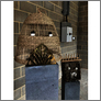 [thumbnail of Exhibition still]