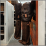 [thumbnail of Exhibition still]