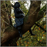 [thumbnail of Sculpture still 2]