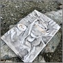 [thumbnail of Gone prop (The trap)]