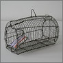 [thumbnail of Indian Rat Trap]