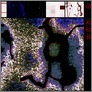 [thumbnail of Original copy Triffids]