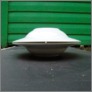 [thumbnail of Oyster]