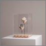 [thumbnail of Two Cubes]