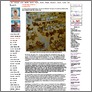 [thumbnail of NY Arts 'Manifesting Commerce' (2008)]