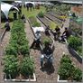 [thumbnail of Regular garden club season 3]
