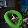 [thumbnail of StEtienne7.jpg]