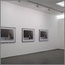 [thumbnail of Olivier Richon, 'Anima(l)' (exhibition view) (2009)]