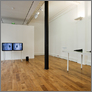 [thumbnail of Things Uncommon, solo show at Lieu du Design, Paris]